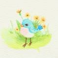 bird_from_