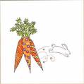 2009/05/05/bunny_and_carrot_by_janetwmarks.jpg