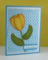 2011/03/04/Oval_Punch_Tulips_Square_Lattice_Embossing_Folder_by_bdindle.JPG