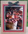 2008/10/24/fall_apples_by_Suzstamps.JPG