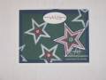 2008/05/10/male_star_card_by_14stampin.jpg