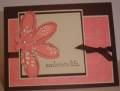 2008/01/08/Embrace-Life-Pink-Brown_by_Rachel_Stamps1.jpg
