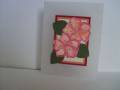 2008/05/19/vellum_card_from_Ellen_by_stampingwithlove.JPG