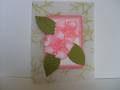 2008/07/27/flower_in_pink_olive_by_stampingwithlove.jpg