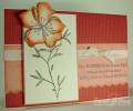 2008/12/09/Embrace_happiness_card_2_by_Teneale_.jpg