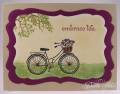 2011/04/08/Just_A_Bicycle_by_Ocicat.jpg