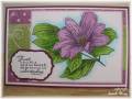 2010/06/02/SEH_Copic_Flower_by_sarahhogg.jpg