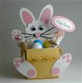 bunny_box_
