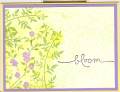2008/04/20/Bloom_yellow_lavender0001_by_Soozie4Him.jpg
