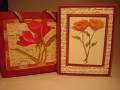 2008/12/27/Golden_Poppies_by_sandy_stamps.jpg