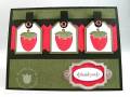 2008/06/29/stampin_up_last_chance_berry_by_Petal_Pusher.jpg