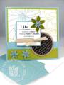 2009/06/03/stampin_up_urban_oasis_full_of_life_by_Petal_Pusher.jpg