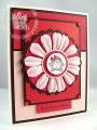 2008/11/14/stampin_up_window_dressing_twins_red_by_Petal_Pusher.jpg