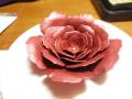 2011/07/01/first_rose_with_rose_creations_laurenscraft_by_laurenscraft.jpg