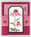 2011/06/25/live_with_passion_in_pink_by_wren61.jpg