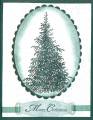 2010/01/08/Forest_of_Trees_-_Christmas_Evergreen_by_Ocicat.jpg