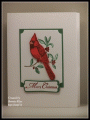 Cardinal_C