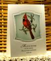 2011/01/09/Christmas_Cardinal_-_2010_Christmas_Cards_by_AudreyAnn.JPG