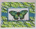 2014/03/28/butterfly_and_washi_card_by_arlsmom.jpg
