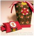 2008/11/13/poinsettiaboxinbagandpillowboxes_by_Taminnc.jpg