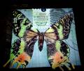 2012/06/02/Embossed_Butterfly_by_Crafty_Julia.JPG