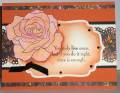 2009/11/15/TLC247_mms_last_rose_by_lacyquilter.jpg