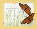 2009/03/18/Top_Note_Butterflies_by_ruby-heartedmom.jpg