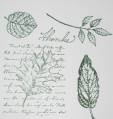 2009/01/28/index_lexicon_of_leaves_by_sumtoy.jpg