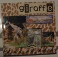 giraffe_by