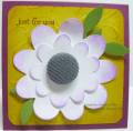 2009/07/21/whiteflower_by_cmstamps.jpg
