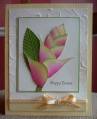 2010/03/20/Heliconia_Flower_Card_by_anfimem.jpg