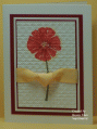 2011/01/22/Greenhouse_Garden_Poppy_by_bon2stamp.gif