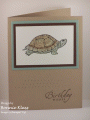 2010/04/22/Nature_s_Turtle_by_bon2stamp.gif