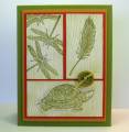 2010/09/02/More_Aug_cards_006_by_Barb_Mann.JPG