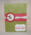 2011/01/02/Stampin_Up_Sparkly_Bright_by_amyfitz1.jpg