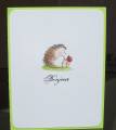 2010/09/23/SCS_Special_Cards_009_by_ladybug91743.JPG