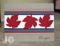 2010/02/25/Oh_Canada_by_naturecoastcrafter.jpg