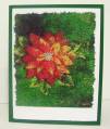 2009/09/25/Felted_Cards_002_by_christman.jpg