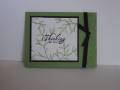 2011/01/27/tissue_card_by_stampingwithlove.jpg