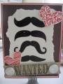 2012/01/08/mustaches_002_by_doublesmom.JPG