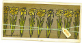 2013/05/10/Hello_Daffodils_by_StampingJay.jpg