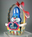 2017/04/23/Easter_Basket_with_Chocolate_Bunny_Cindy_Major_by_cindy_canada.JPG