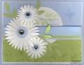 2010/08/30/watercolor_trio_daisies_from_the_heart_watermark_by_Michelerey.jpg