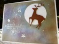 2015/11/20/Rudolph_in_Outer_Space_by_Carrie3427.JPG