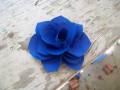 Blue_Rose_