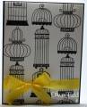 2012/07/06/Bird_Cages_by_marmie43gs.jpg