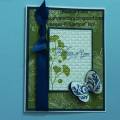 2011/04/22/1stwedccSharonField2_by_sharonstamps.jpg