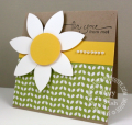 2011/04/07/Stampin_up_stampin_pretty_blossom_petals_punch_by_Petal_Pusher.png