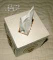 2010/11/09/Pam_s_Tissue_Box_Cover_-_Top_View_by_YorkieMoma.jpg