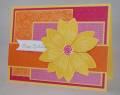 2011/01/14/Build_a_Blossom_stamp_set_by_amyfitz1.jpg